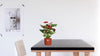 Anthurium Calon en gaine transparente - Ø 12 cm - ↕ 36 cm - GREEN OASIS - SHOP Plantes vertes originales livrées à votre domicile