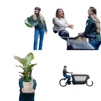 Boîte MIX de plantes pour extérieur - Ø12cm - 8x Everspring