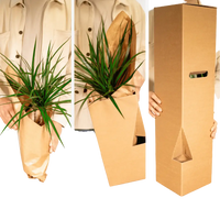 Boîte surprise - Ø12cm - ↕25cm - x5 Everspring