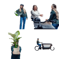 Boîte surprise - Ø12cm - ↕25cm - x5 Everspring