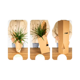 Boîte surprise - Ø12cm - ↕25cm - x6 Everspring