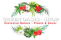 Boutique oasis verte exclusive plantes naturelles décoration logo avec design floral et texte en blanc sur fond noir