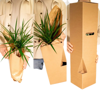 Calathea Triostar - Plante Paon - Ø19cm - ↕70cm Everspring