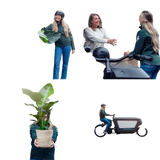 Calathea Warscewiczii - Plante paon - Ø19cm - ↕70cm Everspring