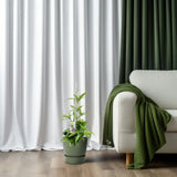 Dracaena Surculosa - Ø17cm - ↕55cm Everspring