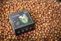 🌸 Dutch Flower Mix – IDEE CADEAU!  Boîte de Luxe Moyenne, 40 Bulbes pour 1 m² de Fleurs Hollandaises – Taille 12+.