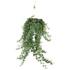 Hedera Helix Pitsburg - Suspension/XXL - Ø24cm - ↕60cm - GREEN OASIS - SHOP