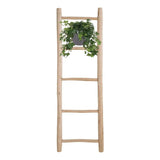 Hedera Helix Vert - Hangpot Blanc / Basic - Ø17cm - ↕cm - GREEN OASIS - SHOP Plantes vertes originales livrées à votre domicile
