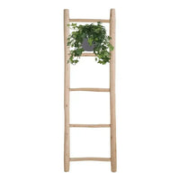 Hedera Helix Vert - Hangpot Blanc / Basic - Ø17cm - ↕40cm - GREEN OASIS - SHOP