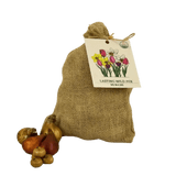 🌼 Mélange de bulbes sauvages – Pack Éco de 50 Bulbes - GREEN OASIS - SHOP