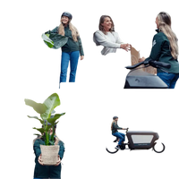 Mélange de plantes succulentes - 9 pièces - 10 cm - Ø8,5 Everspring