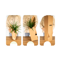 Mélange de plantes succulentes - 9 pièces - 10 cm - Ø8,5 Everspring