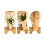 Mélange de plantes succulentes - 9 pièces - 10 cm - Ø8,5 Everspring