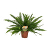 Nephrolepis Green Lady - Ø17cm - ↕40cm Everspring