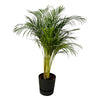 Palmier d'Arec - ↨130cm - Ø24cm + Pot Elho Greenville rond noir D30xH28 - GREEN OASIS - SHOP Plantes vertes originales livrées à votre domicile