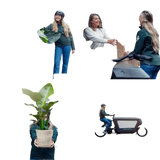 Platycerium Suspension - Ø21cm - ↕50cm Everspring