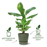 Pot Elho Greenville rond Gris - D24 x H23 - GREEN OASIS - SHOP