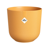 Pot Elho Jazz rond Jaune Ambré - D14 x H13 Everspring