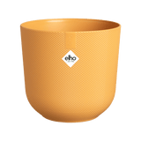 Pot Elho Jazz Rond Jaune Ambré - D19 x H18 - GREEN OASIS - SHOP Plantes vertes originales livrées à votre domicile