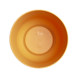 Pot Elho Jazz Rond Jaune Ambré - D23 x H21 - GREEN OASIS - SHOP