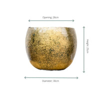 Pot Ellen Brass - 30x25 - GREEN OASIS - SHOP