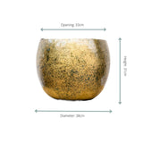 Pot Ellen Brass - 38x31 - GREEN OASIS - SHOP Plantes vertes originales livrées à votre domicile
