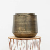 Pot Indigo Vintage Or - D58 x H51 - GREEN OASIS - SHOP Plantes vertes originales livrées à votre domicile