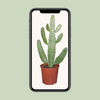 Opuntia Consolea - Ø17cm - ↕55cm Everspring