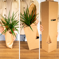 Mélange d'herbes aromatiques - 4 pièces - Ø14cm - ↕18cm Everspring