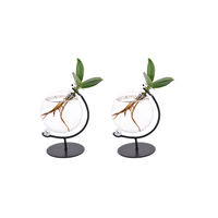 Clusia en verre Victoria - 2 pièces - Ø5cm - ↕10cm Everspring