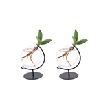 Clusia en verre Victoria - 2 pièces - Ø5cm - ↕10cm Everspring