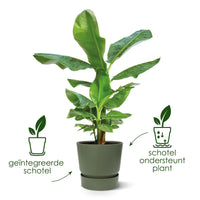 Pot Elho Greenville rond Blanc - D30 x H28 Everspring
