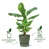 Pot Elho Greenville rond Blanc - D30 x H28 Everspring