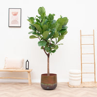 Pot Elisa Mystic Bronze - 39x32 Everspring