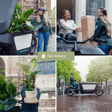 2x Zamioculcas Zamiifolia - Palmier émeraude - 50cm - ø14 Everspring