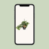 Singe Monstera - Ø14cm - ↕30cm Everspring
