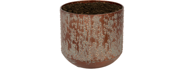 Pot Lian Koper - D19 Everspring